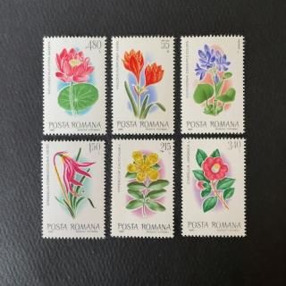 ルーマニア - 外国切手の通販・北欧・東欧・海外の切手を販売 ルーマニア - 外国切手の通販・北欧・東欧・海外の切手を販売
