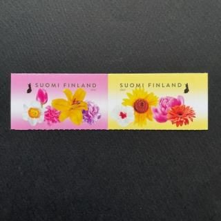 եɤڼꡦեǥ󡦣ʣ˥դΤ