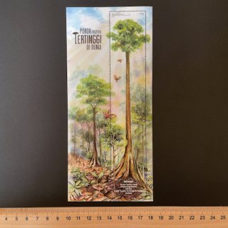 マレーシアの切手・世界一高い熱帯樹・小型シート・２０２２