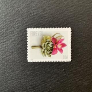 USAڼꡦ֡ȥ˥롦ʥոҡ