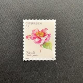 ȥꥢڼꡦ2021ǯĥХ