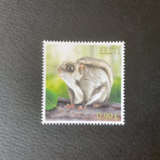 エストニアの切手・2022年・タイリクモモンガ