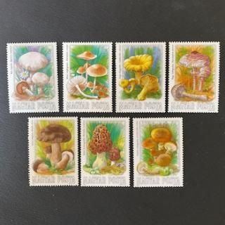 ϥ󥬥꡼ڼꡦ1984ǯΤ7