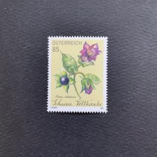 ȥꥢڼꡦ2022ǯ٥ɥ