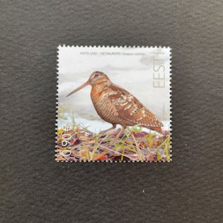 エストニアの切手・2022年・鳥・ヤマシギ