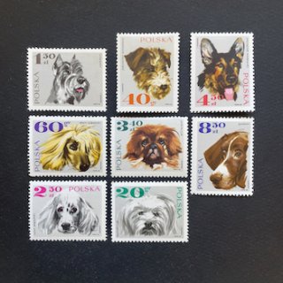 ポーランドの切手・1973年・犬（8）ヒンジ跡あり