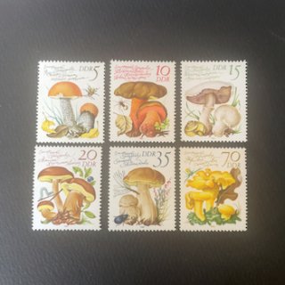 東ドイツの切手・1980年・きのこ（6）