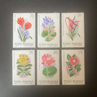 ルーマニアの切手・1980年・花（6）