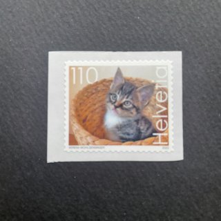 スイスの切手・2023年・ネコ（セルフ糊）