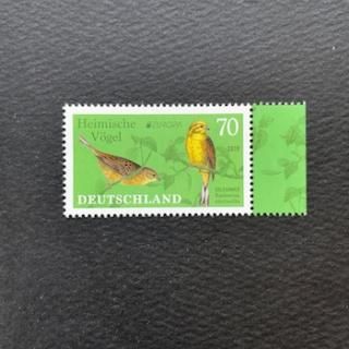 ɥĤڼꡦ2019ǯ衼åڼꡦĻ