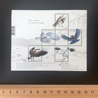 カナダの切手・2018年・鳥・小型シート