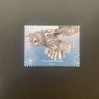 フランスの切手・2023年・夜行性の生物・フクロウ