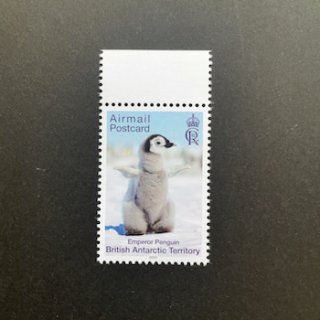 英国南極の切手・2023年・コウテイペンギン