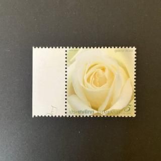 製品：クロノマスター オリジナル - 18.3200.3600/69.C901 - ZENITH