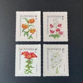 ٥˥ڼꡦ2024ǯ֡4˥ո