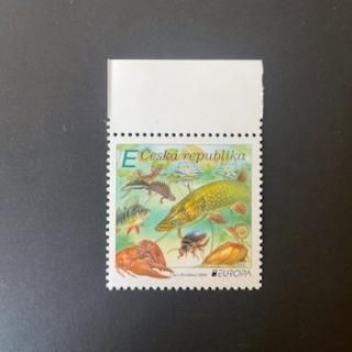 ڼꡦ2024ǯ衼åڼꡦưʪ