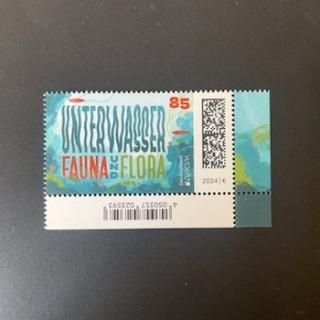 ɥĤڼꡦ2024ǯ衼åڼꡦưʪ