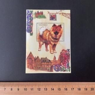 ⥶ӡڼꡦ1999ǯ