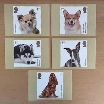 イギリスのポストカード・2024年・犬・10枚セット
