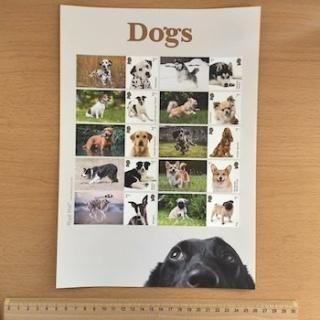 犬・いぬ - 外国切手の通販・北欧・東欧・海外の切手を販売
