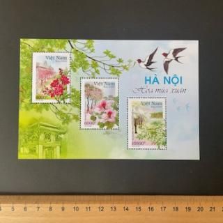 ٥ȥʥڼꡦ2024ǯϥΥεβ֡