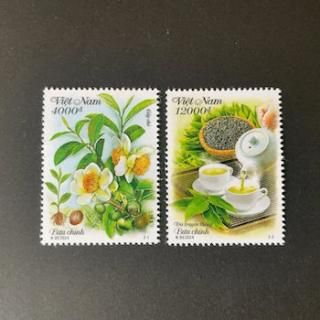 ٥ȥʥڼꡦ2024ǯ2