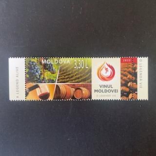 ɥФڼꡦ2023ǯ磻