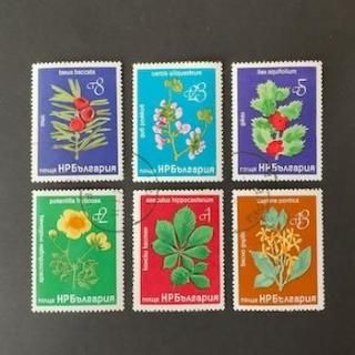 ֥륬ꥢڼꡦ1976ǯ֡CTO6