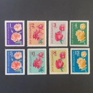 ֥륬ꥢڼꡦ1962ǯХ8