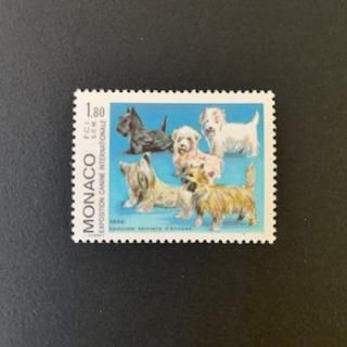 ʥڼꡦ1986ǯݥɥå祦