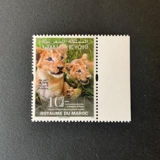 åڼꡦ2022ǯХưʪ10ǯ