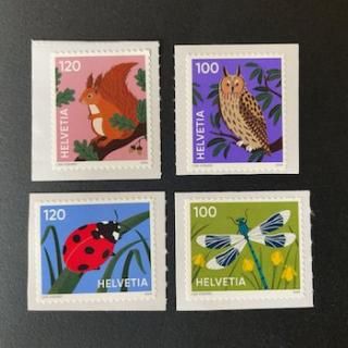 ڼꡦ2024ǯưʪξħ4˥ո