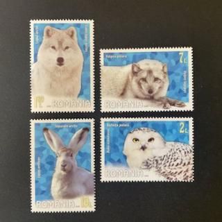 롼ޥ˥ڼꡦ2000ǯϤưʪ4