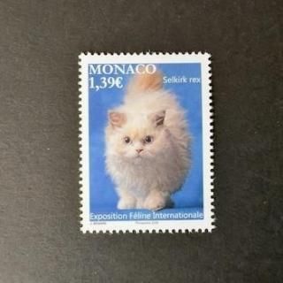 ʥڼꡦ2025ǯݥåȥ祦