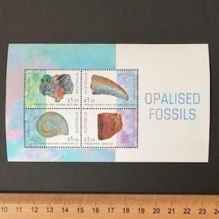 ȥꥢڼꡦ2020ǯѡ벽С