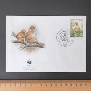3029 外国切手 オーストラリア 1991年 犬 猫 動物 4種完 3029 外国切手 オーストラリア 1991年 犬 猫 動物 4種完