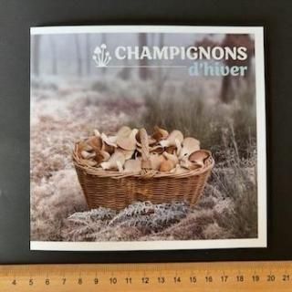 フランス - 外国切手の通販・北欧・東欧・海外の切手を販売