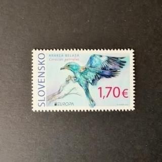 Хڼꡦ2019ǯ衼åڼꡦĻ