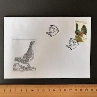 Хڼꡦ2021ǯ衼åڼꡦǴFDC