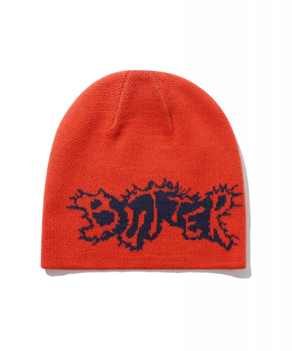 <img class='new_mark_img1' src='https://img.shop-pro.jp/img/new/icons5.gif' style='border:none;display:inline;margin:0px;padding:0px;width:auto;' />BUTTERGOODS ERUPTION SKULLY BEANIE RED</p>