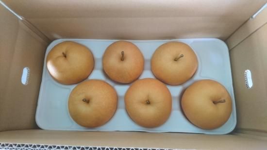 新高梨 6玉セット - 高知県土佐市北原の果物屋 ［森澤果樹園