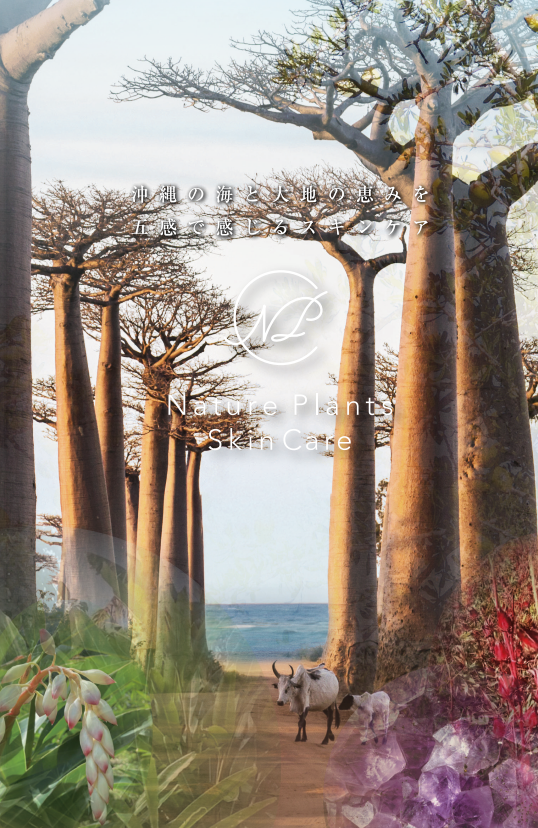 Nature Plants Skin Careブランドイメージ画像