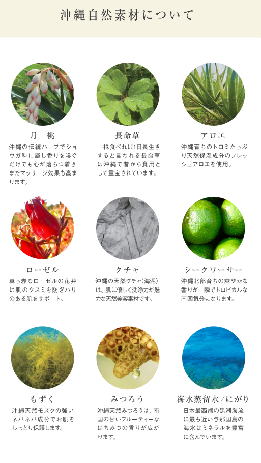 Nature Plants Skin CareǻѤƤ벭μǺˤĤ
