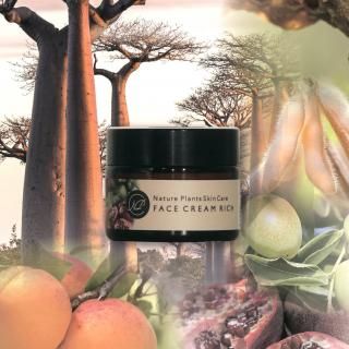 天然素材の手作りスキンケア 沖縄コスメ Nature Plants Skin Care