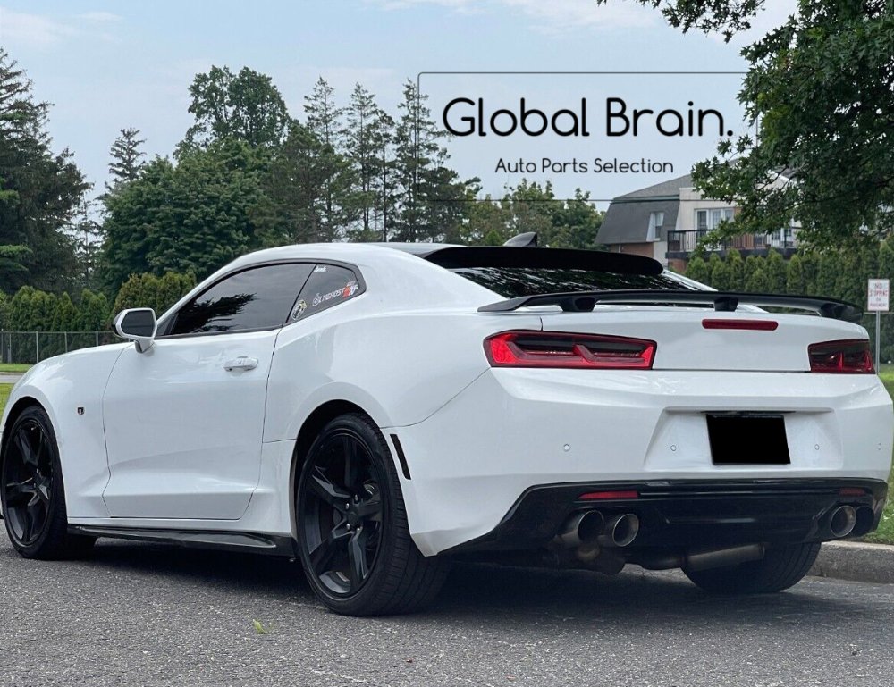 camaro   Global Brain