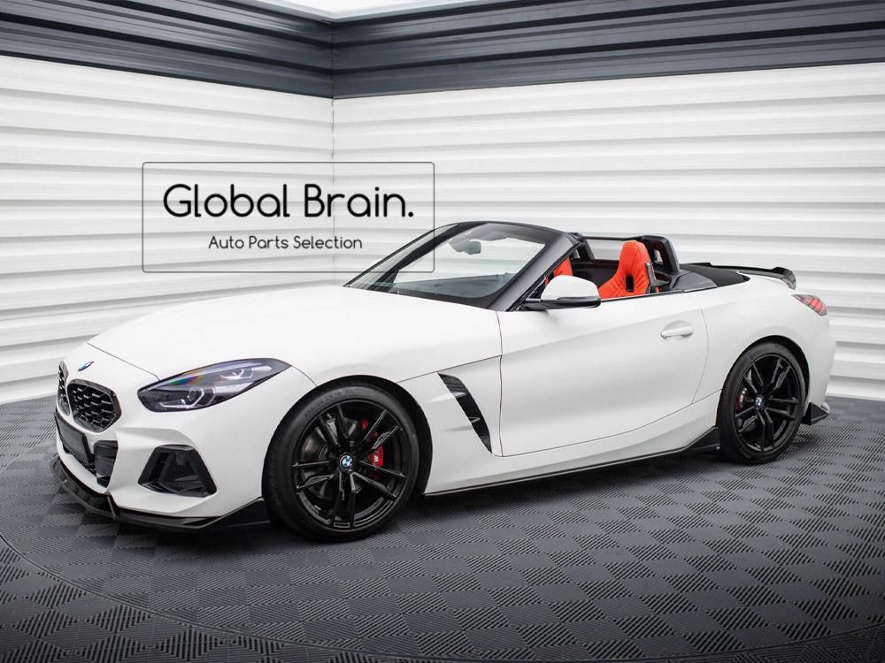 Z-Series - Global Brain. Z-Series - Global Brain.