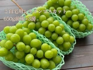 8/20缡ȯۥ㥤ޥå650g3˼²ĤˡʬؤΤ˫ˡ