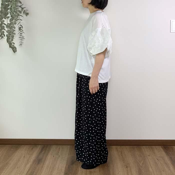 PUTI PRICE ɽХ롼µȾµץ륪С ֥᡼