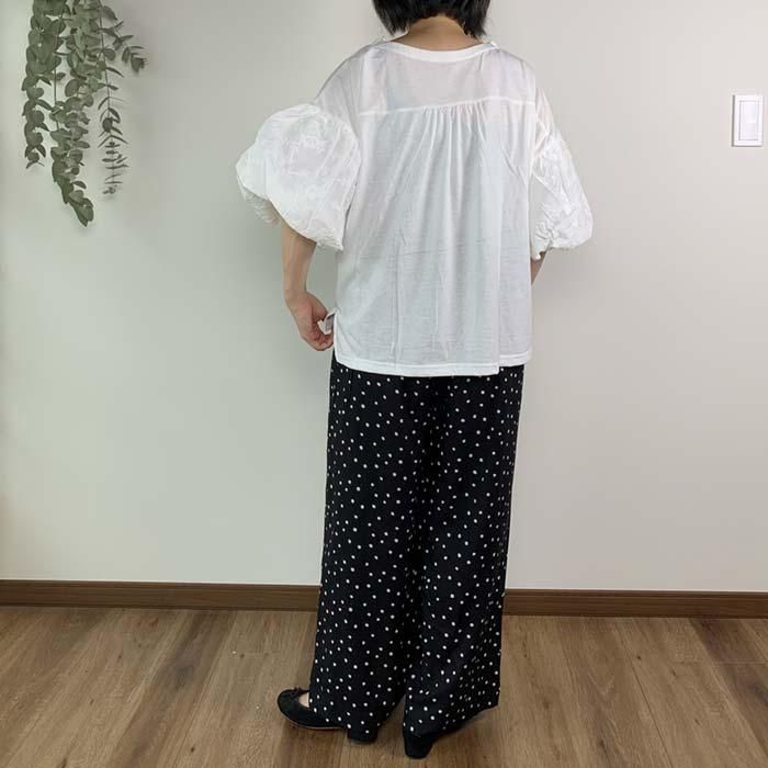 PUTI PRICE ɽХ롼µȾµץ륪С ֥᡼