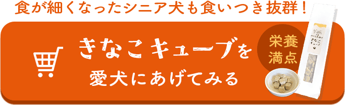 ʤ塼֤򰦸ˤƤߤ